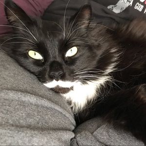 Meet your Posher, Aimee